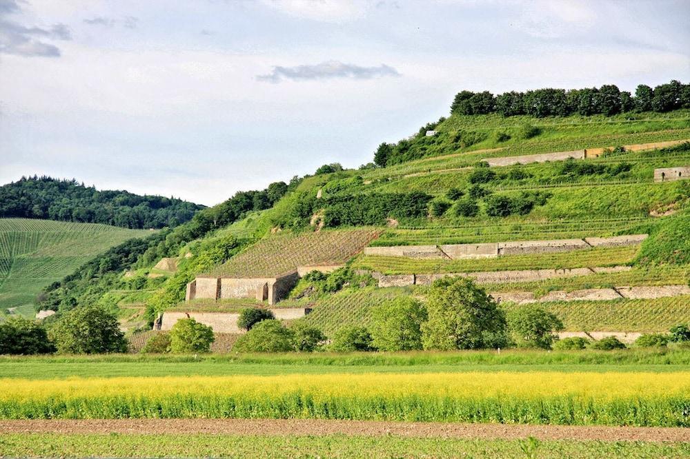 Hotel Winzerstube Ihringen Eksteriør billede