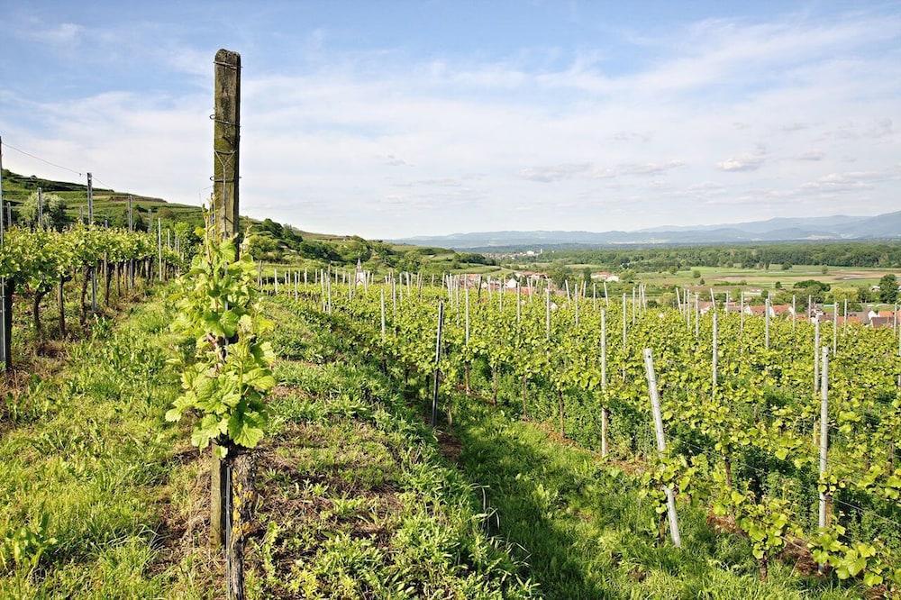 Hotel Winzerstube Ihringen Eksteriør billede
